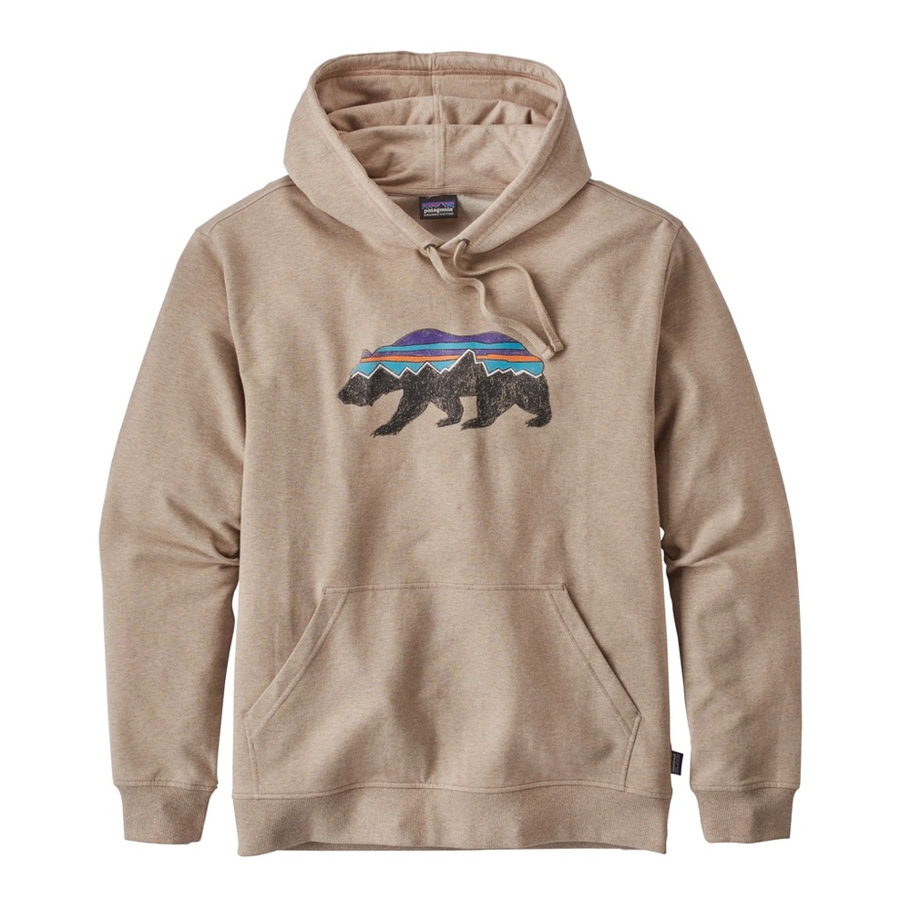 Patagonia Fitz Roy Bear Hoodie
